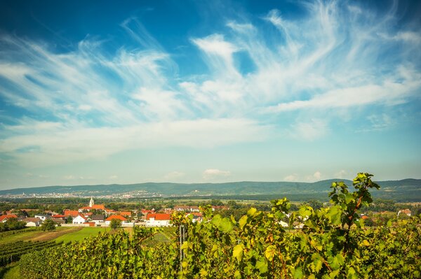 BURGENLAND Schlemmer-Frühling & -Herbst