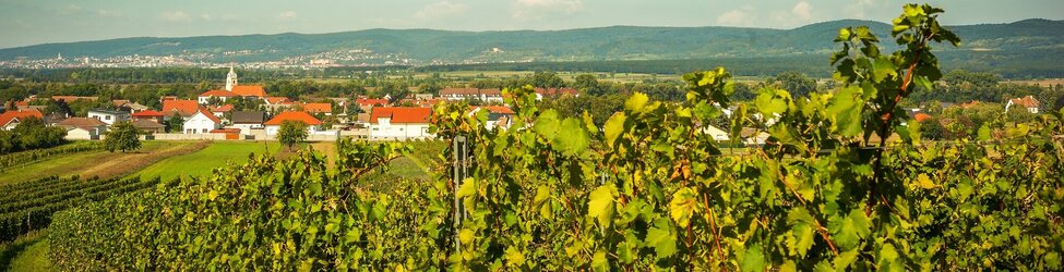 BURGENLAND Schlemmer-Frühling & -Herbst