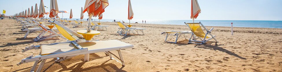 BIBIONE