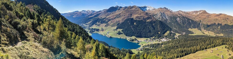 SCHWEIZER ALPEN