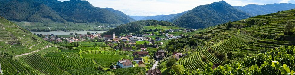WACHAU Alles Marille